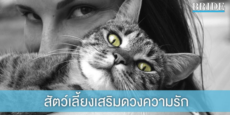 สัตว์เลี้ยงเสริมดวงความรักแต่ละราศี