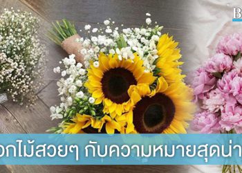 ใช้ดอกไม้แทนใจ! ส่อง 8 ความหมายของดอกไม้ สุดน่ารัก