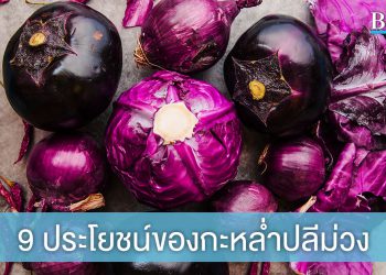 9 ประโยชน์ของกะหล่ำปลีม่วง ที่คนรักสุขภาพไม่ควรพลาด