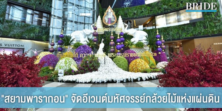 สยามพารากอน ชวนชมอีเวนต์สุดยิ่งใหญ่ มหัศจรรย์กล้วยไม้แห่งแผ่นดิน เฉลิมพระเกียรติสมเด็จฯ พระบรมราชชนนีพันปีหลวง