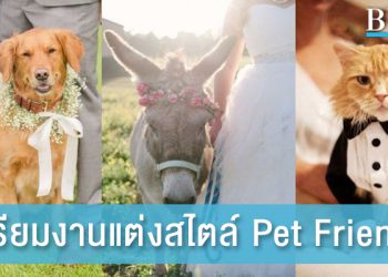6 เคล็ดลับ เตรียมจัดงานแต่งที่มีสัตว์เลี้ยง สไตล์ Pet Friendly