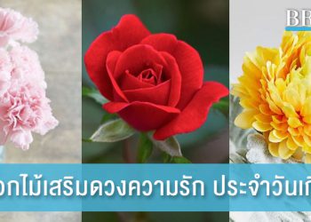7 ดอกไม้เสริมดวงความรัก ประจำวันเกิด ปักแจกันประดับโต๊ะไว้ ดึงดูดความรักให้ดีขึ้น