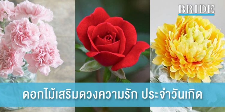 7 ดอกไม้เสริมดวงความรัก ประจำวันเกิด ปักแจกันประดับโต๊ะไว้ ดึงดูดความรักให้ดีขึ้น