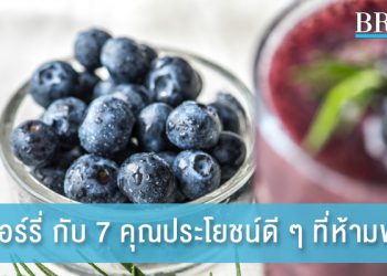 จิ๋วแต่แจ๋ว! 7 คุณประโยชน์ของบลูเบอร์รี่ อร่อย ได้สุขภาพ