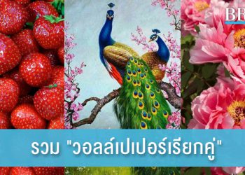 รวม “วอลล์เปเปอร์เรียกคู่” ให้คนโสดไม่เหงาอีกต่อไป