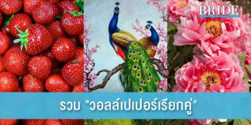 รวม “วอลล์เปเปอร์เรียกคู่” ให้คนโสดไม่เหงาอีกต่อไป