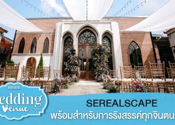 The Venue : Serealscapes