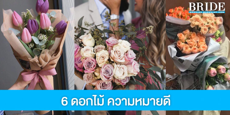 6 ดอกไม้ ทั้งสวยทั้งความหมายดี มอบแทนใจให้คนรัก