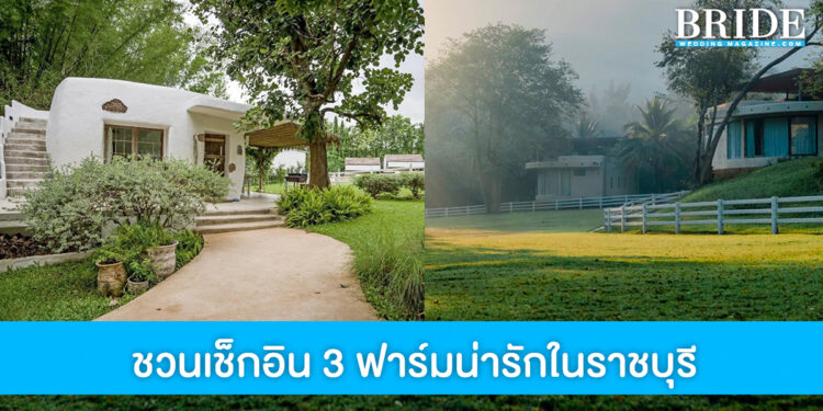 ชวนเช็กอิน 3 ฟาร์มน่ารัก ชมสัตว์เลี้ยงสุดคิ้วท์ในราชบุรี