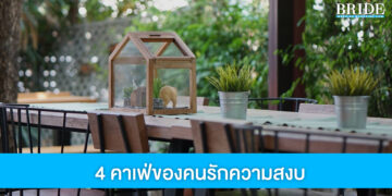 แจกพิกัด 4 คาเฟ่ของคนรักความสงบ จิบกาแฟ ฮีลใจแบบใกล้ชิดธรรมชาติ